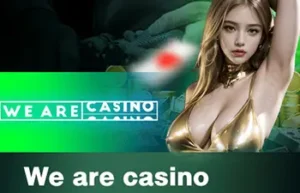 we are casino